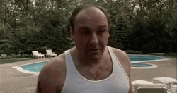 Tony Soprano Can't Hear GIF