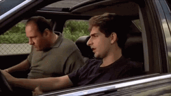 Tony Soprano Hitting Christopher GIF