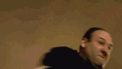 Tony Soprano Punching GIF
