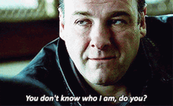 Tony Soprano You Don't Know Who I Am GIF