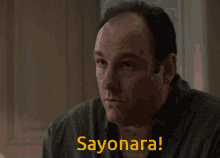 Tony Sopranos Holding Chopsticks GIF
