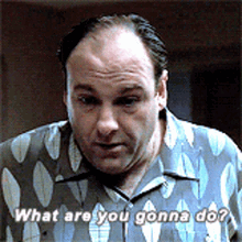 Tony Sopranos Shrugging Shoulders GIF