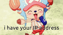 Tony Tony Chopper Get IP Address GIF