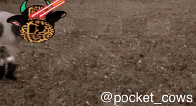 Tony Tony Chopper In Pink And Yellow Hat GIF