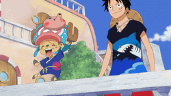 Tony Tony Chopper Straw Hat Pirate GIF