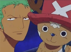 Tony Tony Chopper Zoro Choke GIF