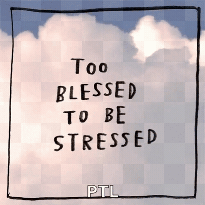 Too Blessed To Be Stressed PTL GIF