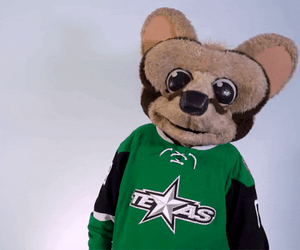 Too Cool Texas Mascot Shoulder Brush GIF