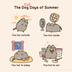 Too Hot Cat Days Of Summer Scenario GIF