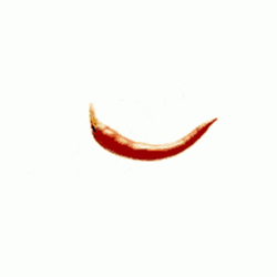 Too Hot Chopped Chilly GIF