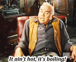 Too Hot Lorne Groeene Says It's Boiling GIF