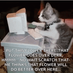 Too Much Work Workaholic Kitten GIF