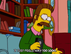 Too Soon The Simpsons Ned Flanders GIF