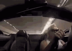 Toonces The Driving Cat GIF