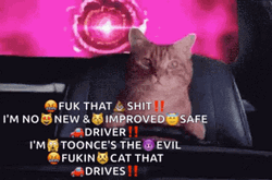 Toonces The Driving Cat GIF