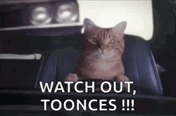 Toonces The Driving Cat GIF
