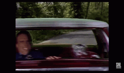 Toonces The Driving Cat GIF