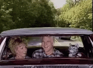 Toonces The Driving Cat GIF