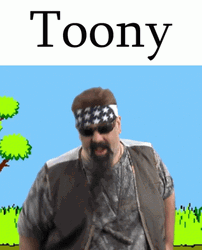Toony The Duck Hunt  GIF