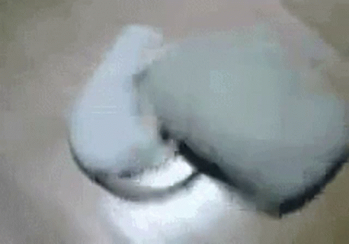 Toothbrush Cleaning Tooth With Toothpaste GIF