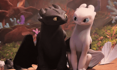 Toothless And Light Fury From How To Train Your Dragon Are Looking At Each Other GIF