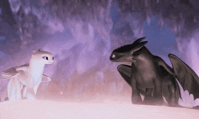 Toothless And Light Fury From How To Train Your Dragon Are Standing Next To Each Other On A Hill . GIF