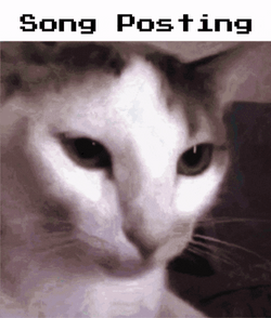 Toothless Dancing Meme Song Posting Cat GIF