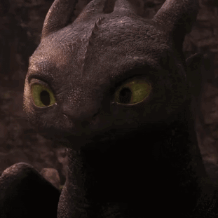 Toothless From How To Train Your Dragon Is Looking At The Camera GIF