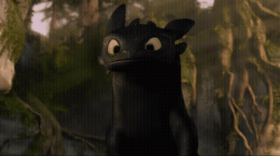 Toothless From How To Train Your Dragon Is Standing In The Woods And Looking At The Camera . GIF