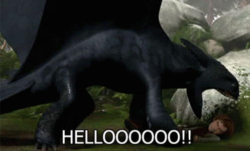 Toothless From How To Train Your Dragon Is Standing Next To A Girl In The Grass . GIF