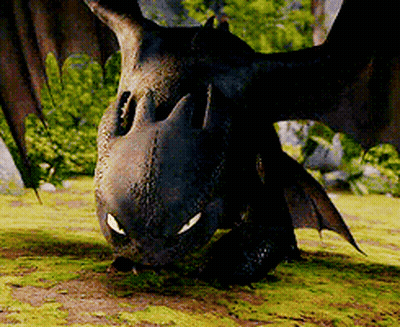 Toothless From How To Train Your Dragon Looking At Camera With Wings Spread GIF