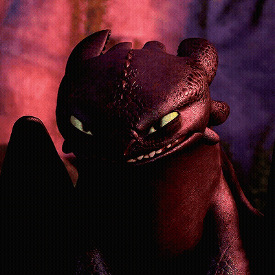 Toothless From How To Train Your Dragon Looks At Camera GIF