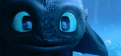 Toothless From How To Train Your Dragon Looks At The Camera GIF