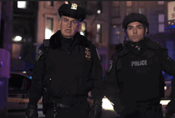 Toothless Gets Caught By Cops GIF