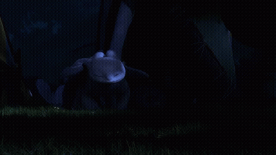Toothless Laying In Grass At Night GIF