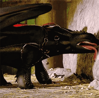 Toothless Licking Rock GIF