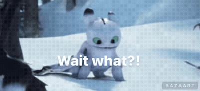 Toothless Saying Wait What GIF