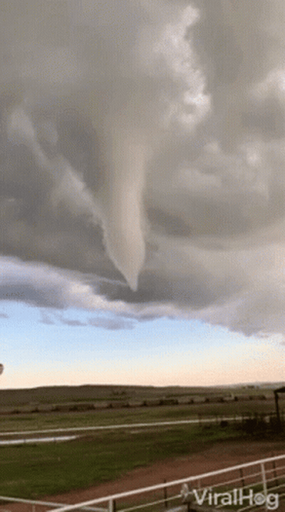 Tornado In Cloudy Sky With Viral Hog GIF