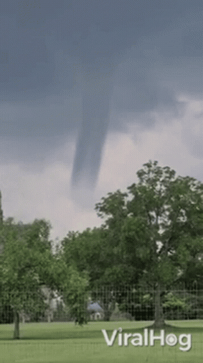 Tornado Moving Over Park With Trees GIF