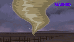 Tornado Spins Shark And Cow Like Fire GIF