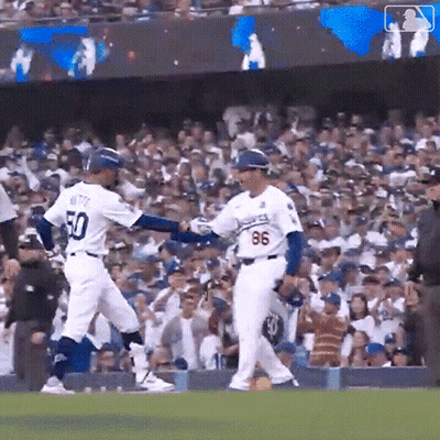 Toronto Blue Jays Baseball Game GIF