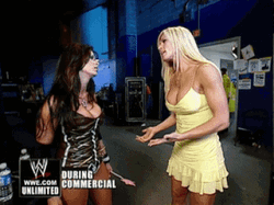 Torrie Wilson Having A Discussion With Another Female Wrestler GIF