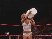 Torrie Wilson Pour Water To Wet Tshirt GIF