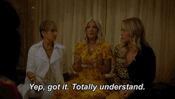 Totally Understand For Sure GIF