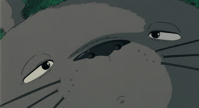 Totoro Yea I Had Burger Buuurp GIF