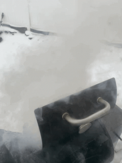 Toucan On Branch With Make GIFs At Gifsoup.com GIF