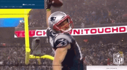 Touchdown Chris Hogan GIF