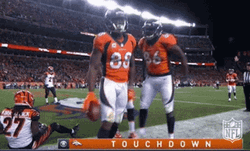 Touchdown Nfl Plays GIF