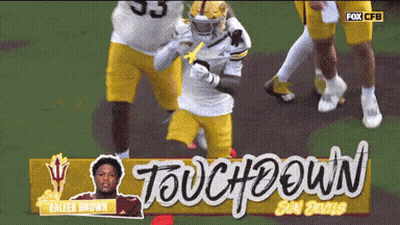 Touchdown Sign With Beer Brown GIF