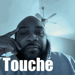 Touche Guy With Beard GIF
